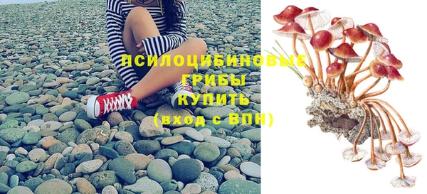PSILOCYBIN Белоозёрский