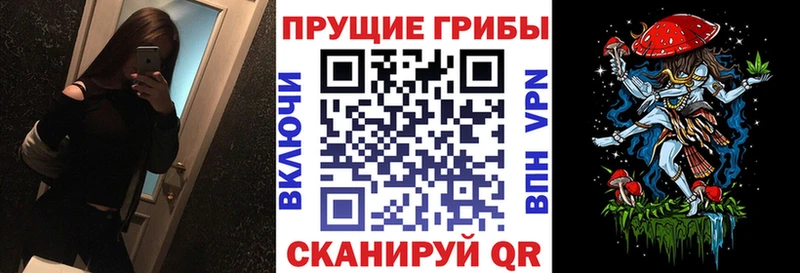 kraken ССЫЛКА Краснокаменск Галлюциногенные грибы Psilocybe